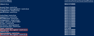 Duplicate Results